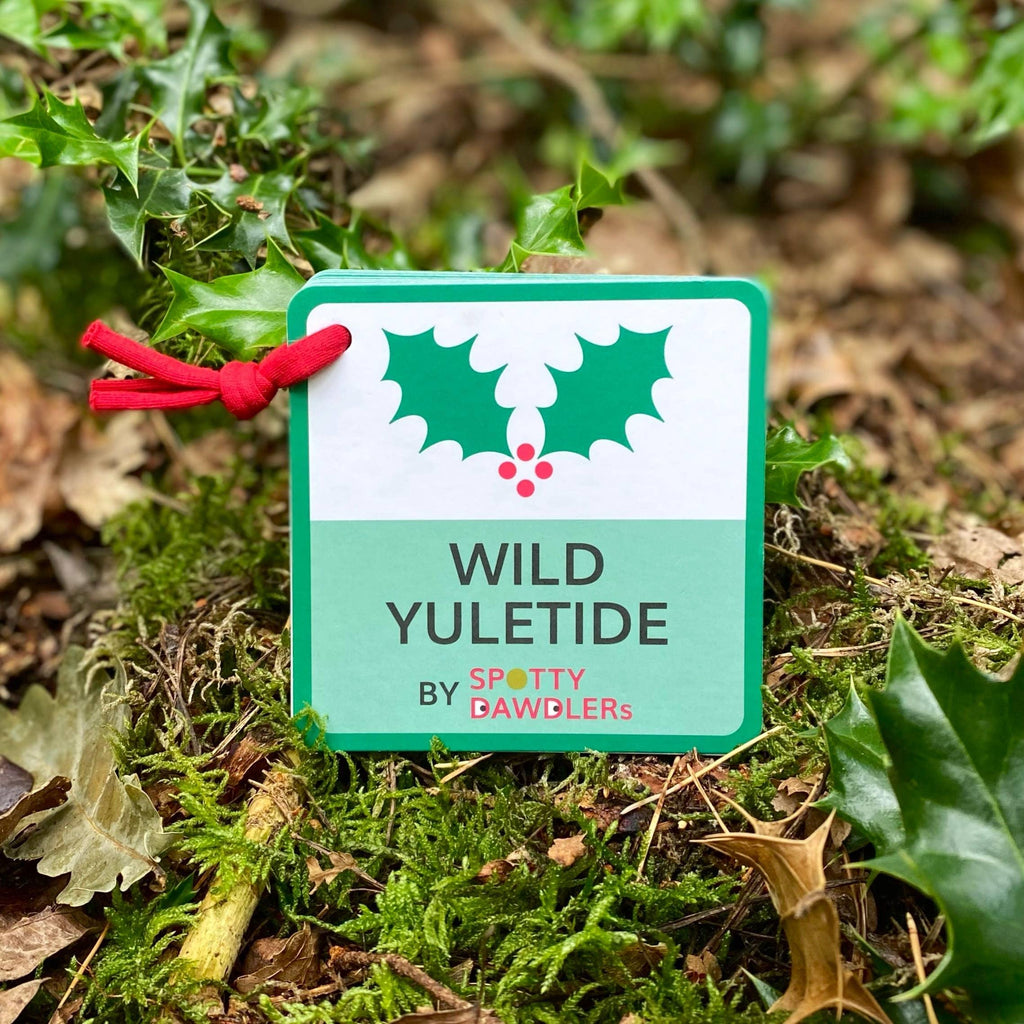 Wild Yuletide Christmas Nature Spotting Sticker Book - Tutti Frutti Clothing